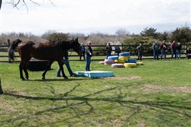 LR-WRF 0402026 Retreat-3416